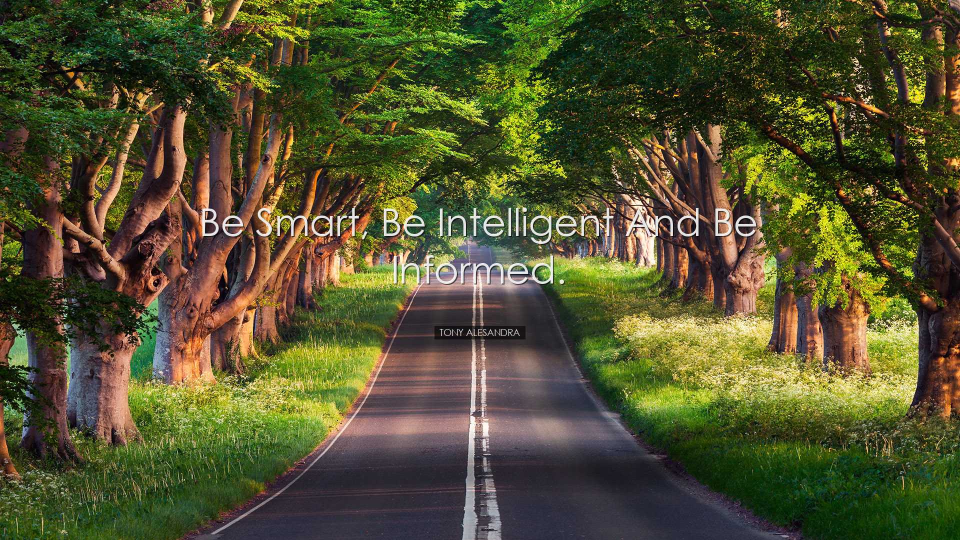 Be smart, be intelligent and be informed. - Tony Alesandra