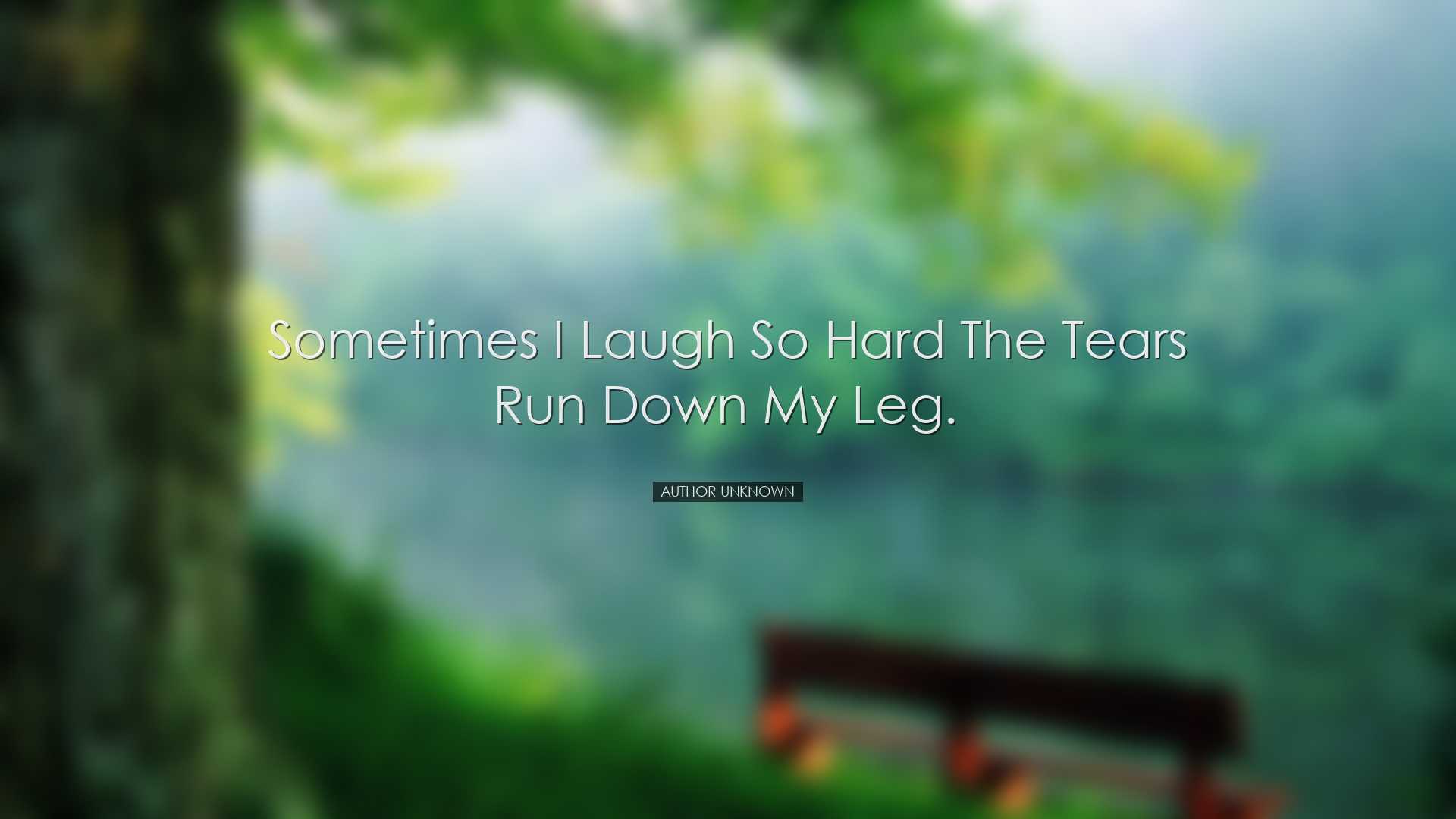Sometimes I laugh so hard the tears run down my leg. - Author Unkn