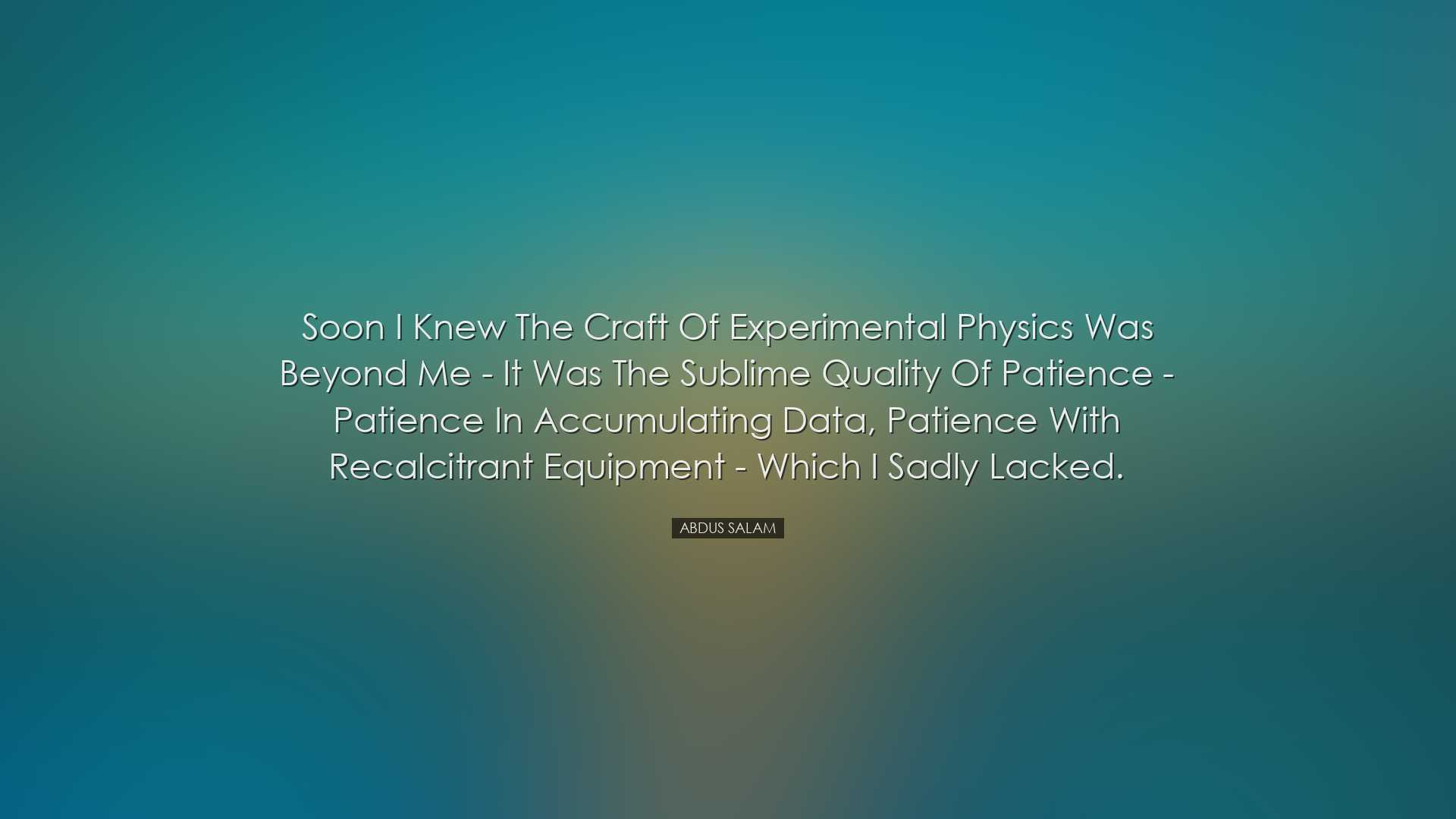 Soon I knew the craft of experimental physics was beyond me - it w