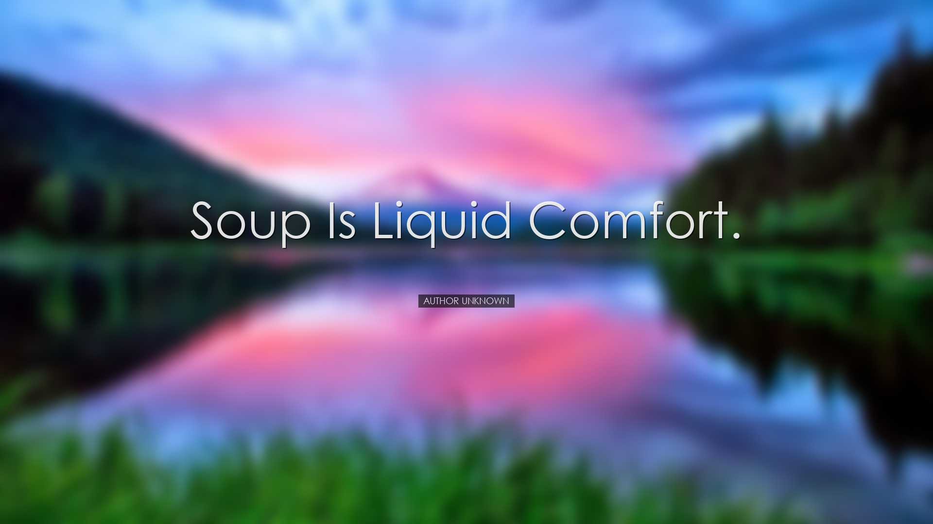 Soup is liquid comfort. - Author Unknown