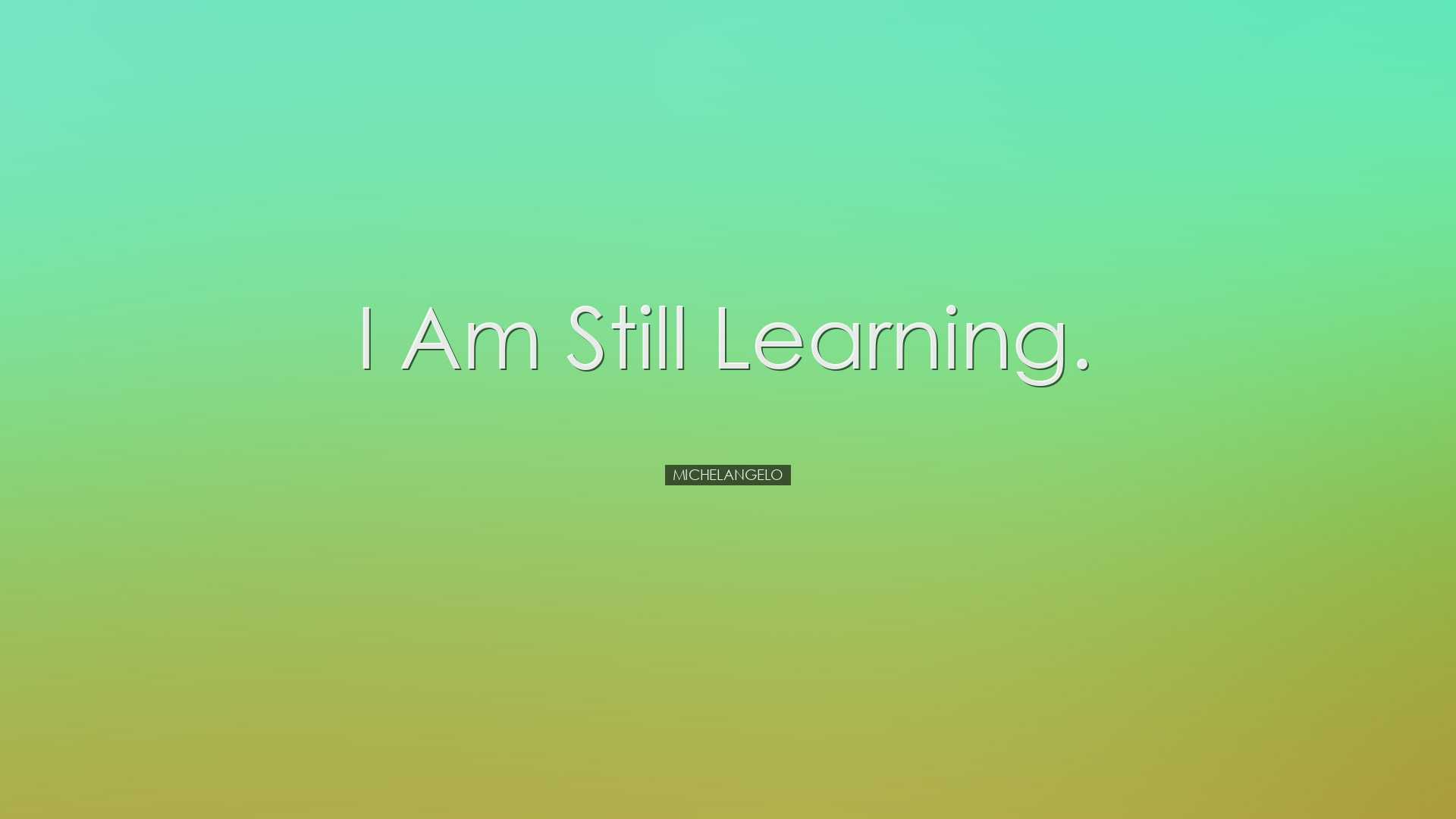 I am still learning. - Michelangelo