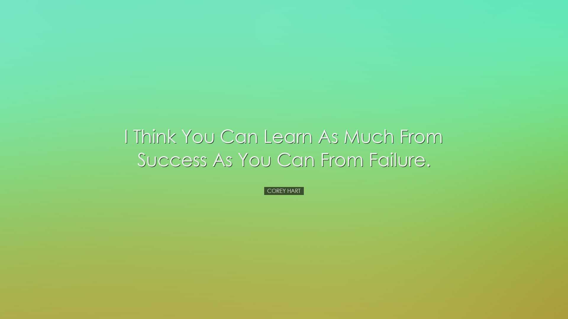 I think you can learn as much from success as you can from failure