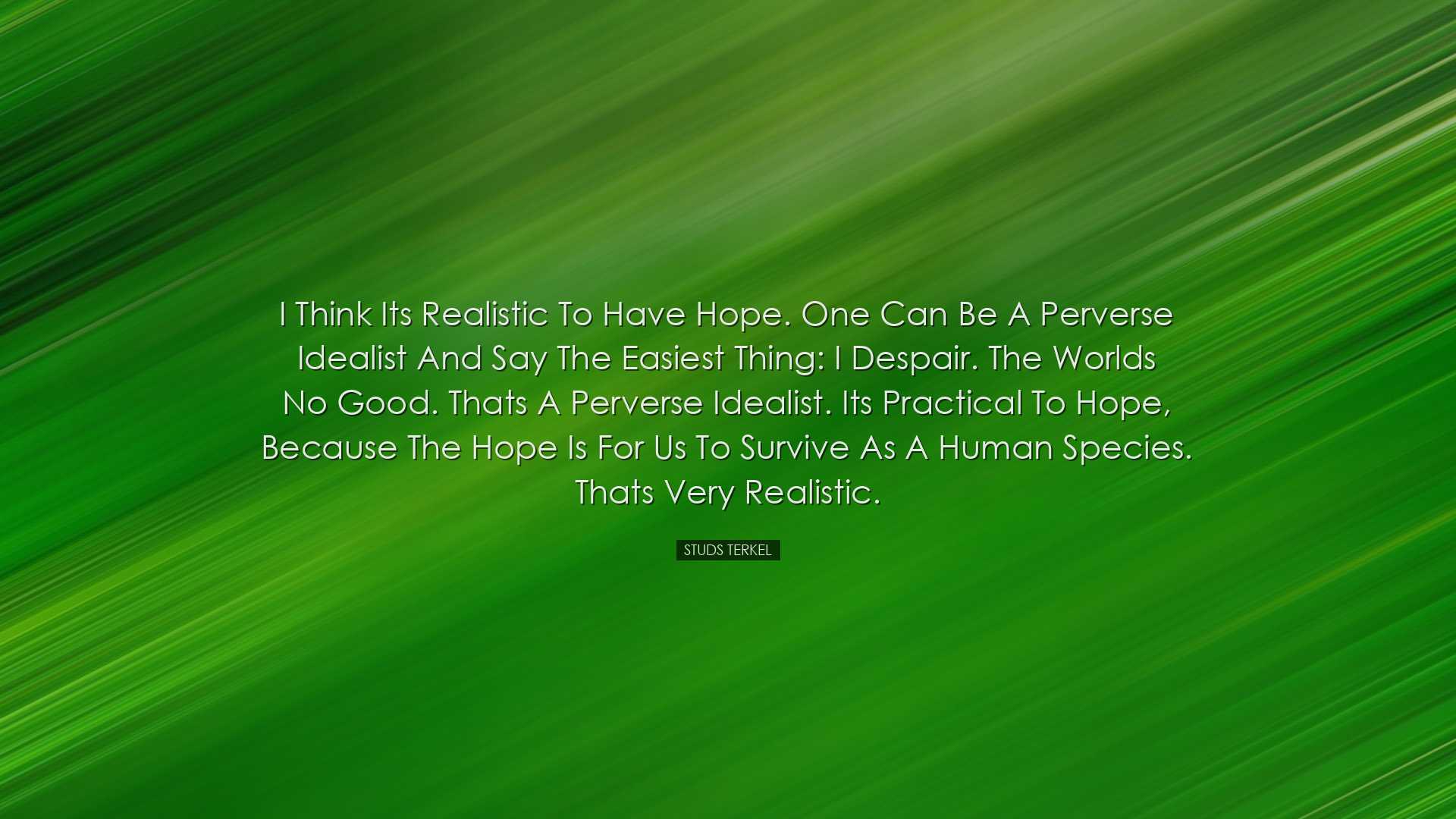 I think its realistic to have hope. One can be a perverse idealist