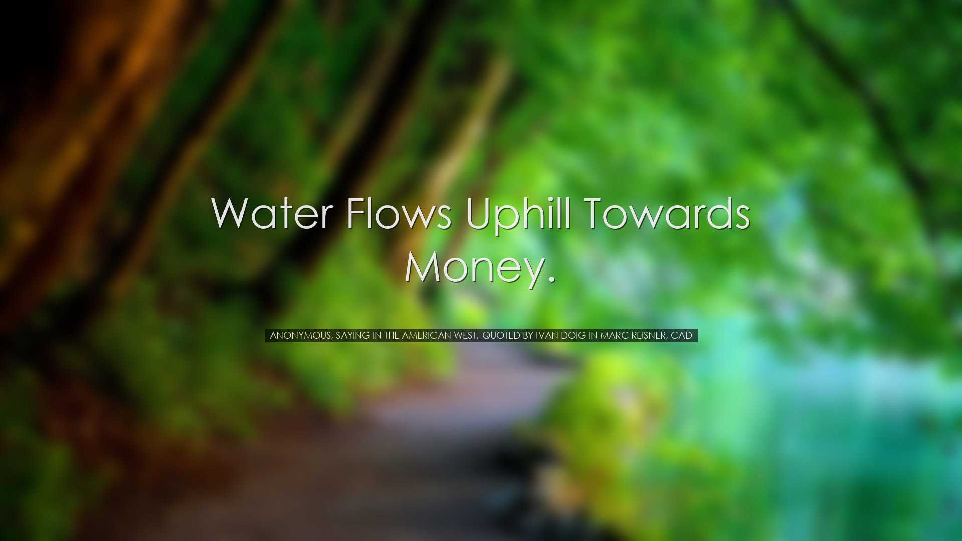 Water flows uphill towards money. - Anonymous, saying in the Ameri