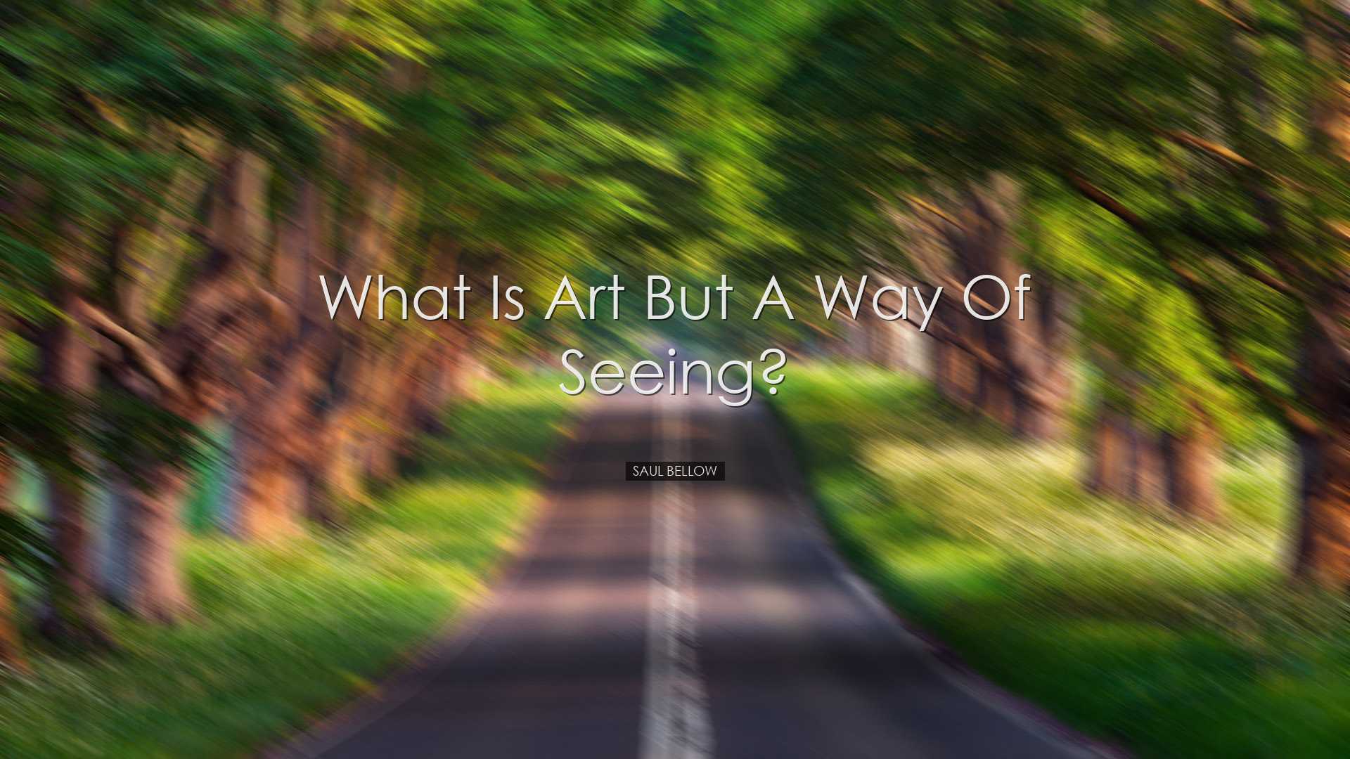 What is art but a way of seeing? - Saul Bellow