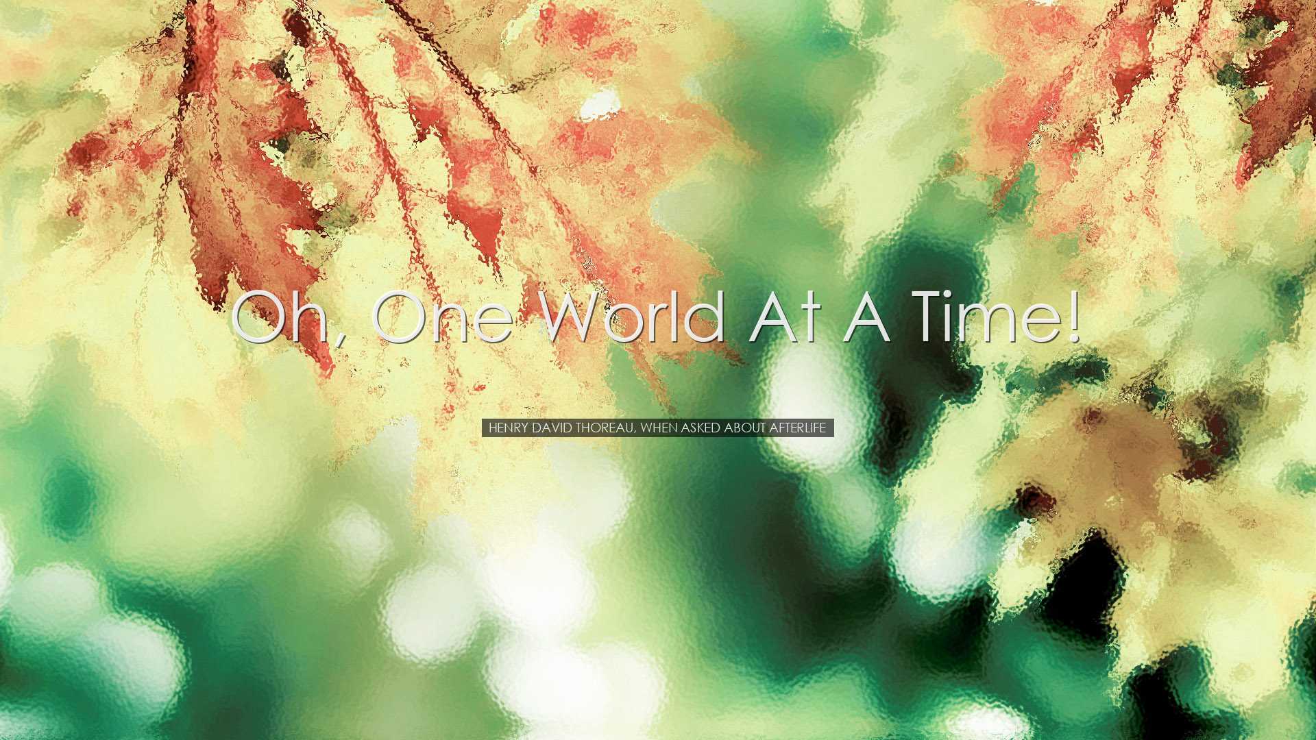 Oh, one world at a time! - Henry David Thoreau, when asked about a