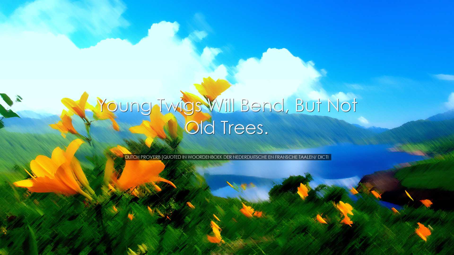 Young twigs will bend, but not old trees. - Dutch Proverb [Quoted
