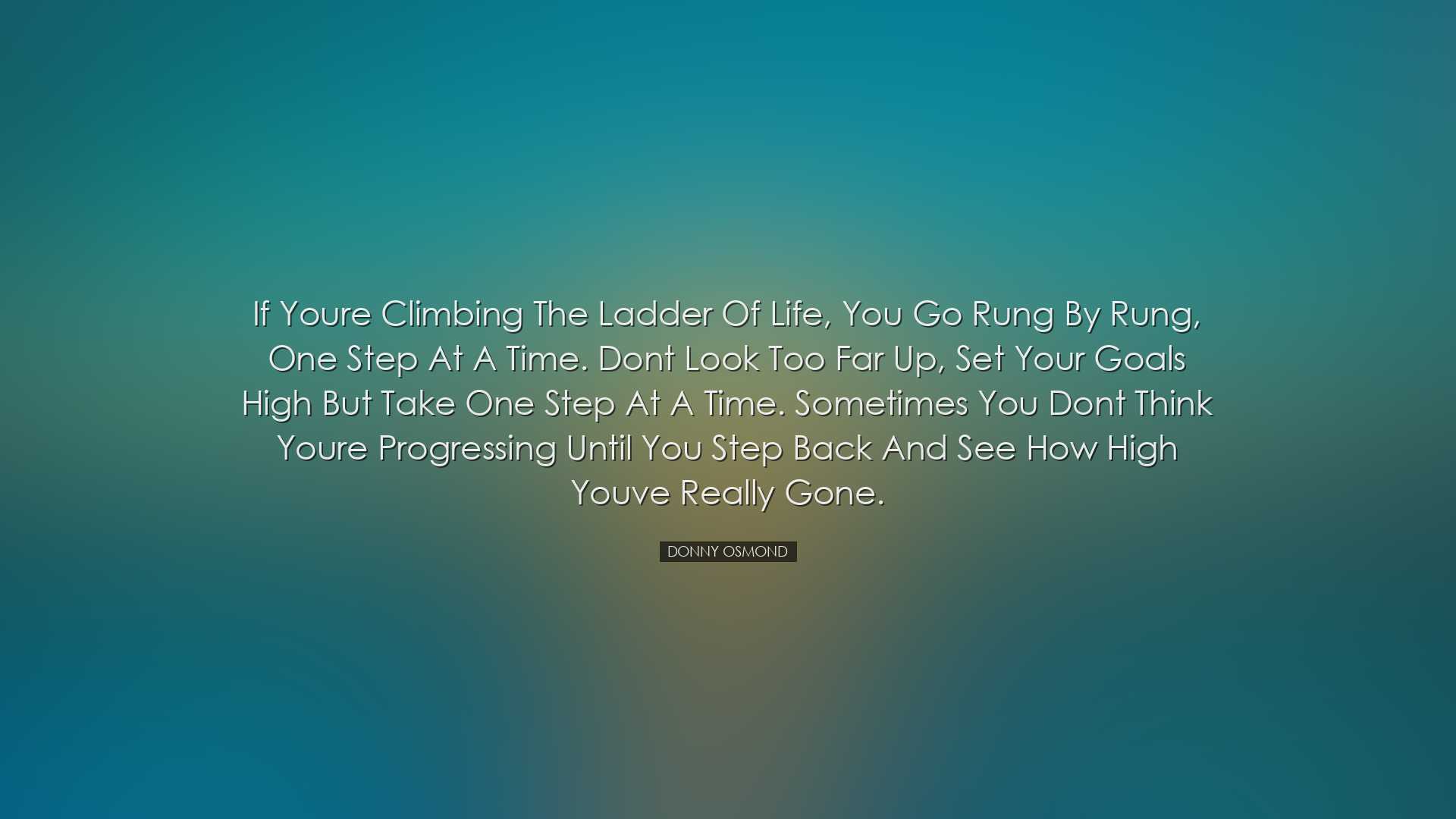 If youre climbing the ladder of life, you go rung by rung, one ste
